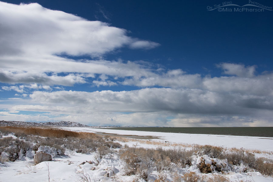 Antelope Island with a winter view of the Great Salt Lake, Antelope Island State Park, Davis County, Utah