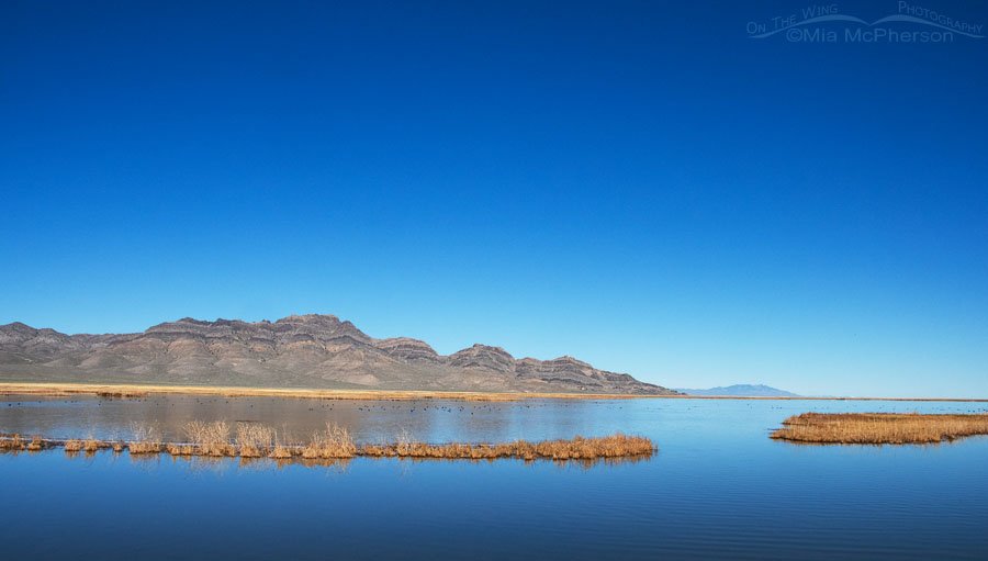 Bright blue skies over Fish Springs National Wildlife Refuge, West Desert, Juab County, Utah