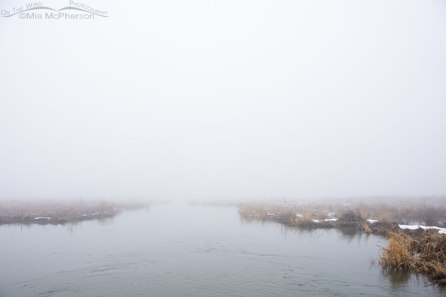 Bear River in thick fog, Bear River Migratory Bird Refuge, Box Elder County, Utah
