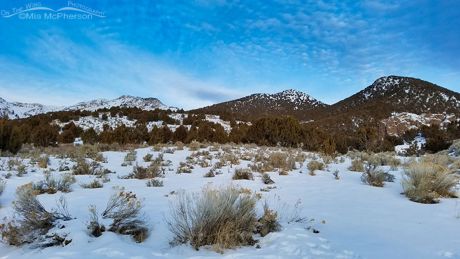 Winter West Desert mountain view