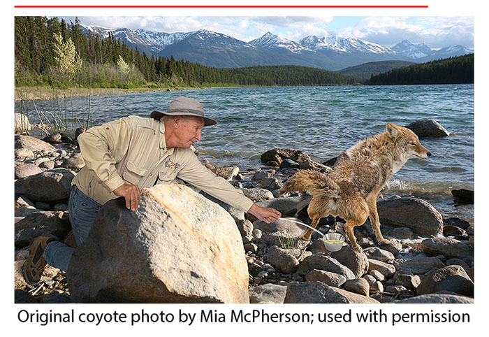 Dave Barry’s 2014 Holiday Gift Guide - Peeing Coyote
