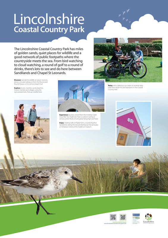 Lincolnshire Coastal County Park, UK - Poster - Sanderling