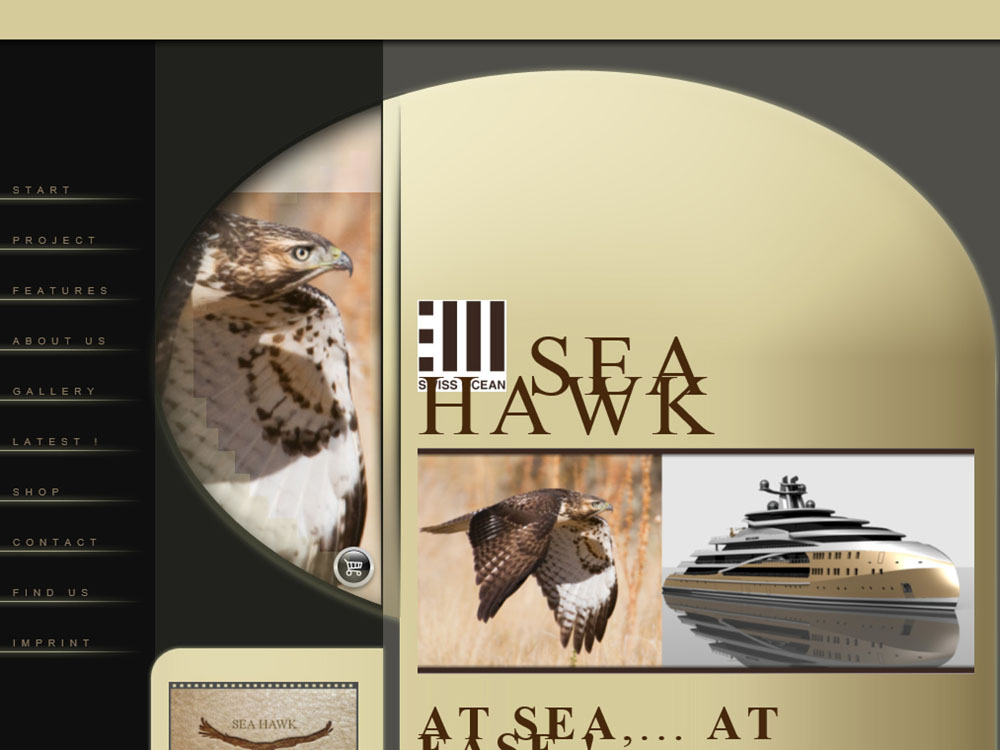 Swiss Ocean - Sea Hawk Yachts - Billboards, Ads, Brochures, Web Site Design - Immature Red-tailed Hawk