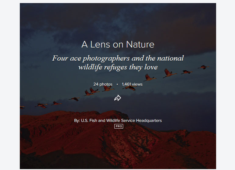 USFWS: A Lens On Nature Interview Photos