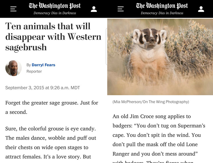 Washington Post - Ten animals that will disappear with Western sagebrush - Eight images