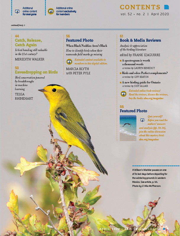 Birding April 2020 - Pages, 5, 44, 45, 46 - Wilson's Warblers