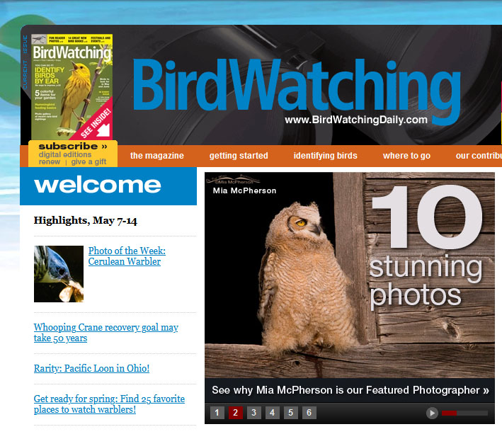 Bird Watching Featured Photographer May 2012 - The link no longer works since they updated their site