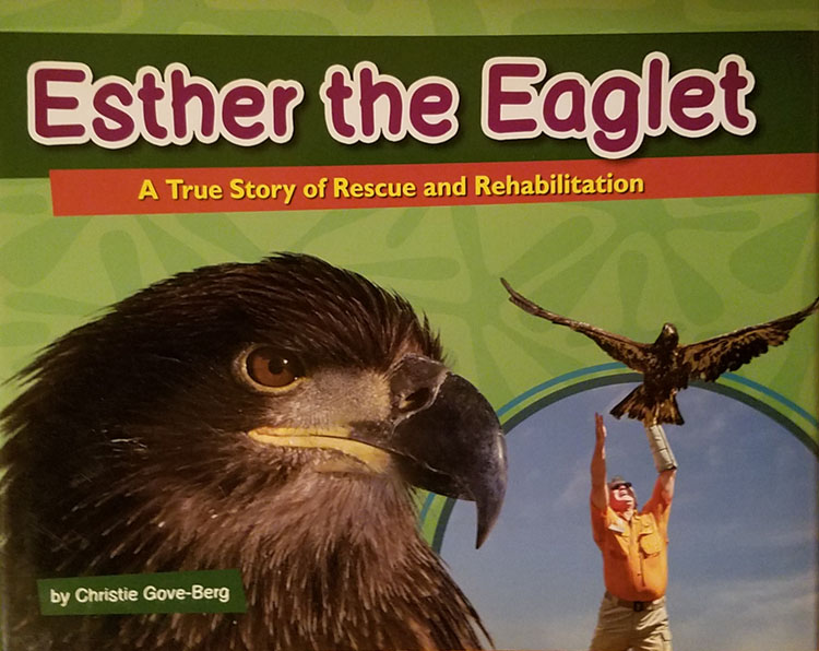Esther The Eaglet - Cover 2015