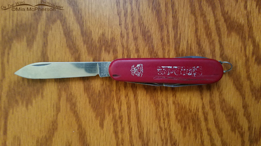 Swiss Army pocket knife after cleaning it up, Salt Lake City, Utah