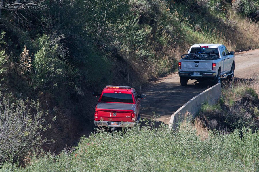 high country bike accident mia mcpherson 3170