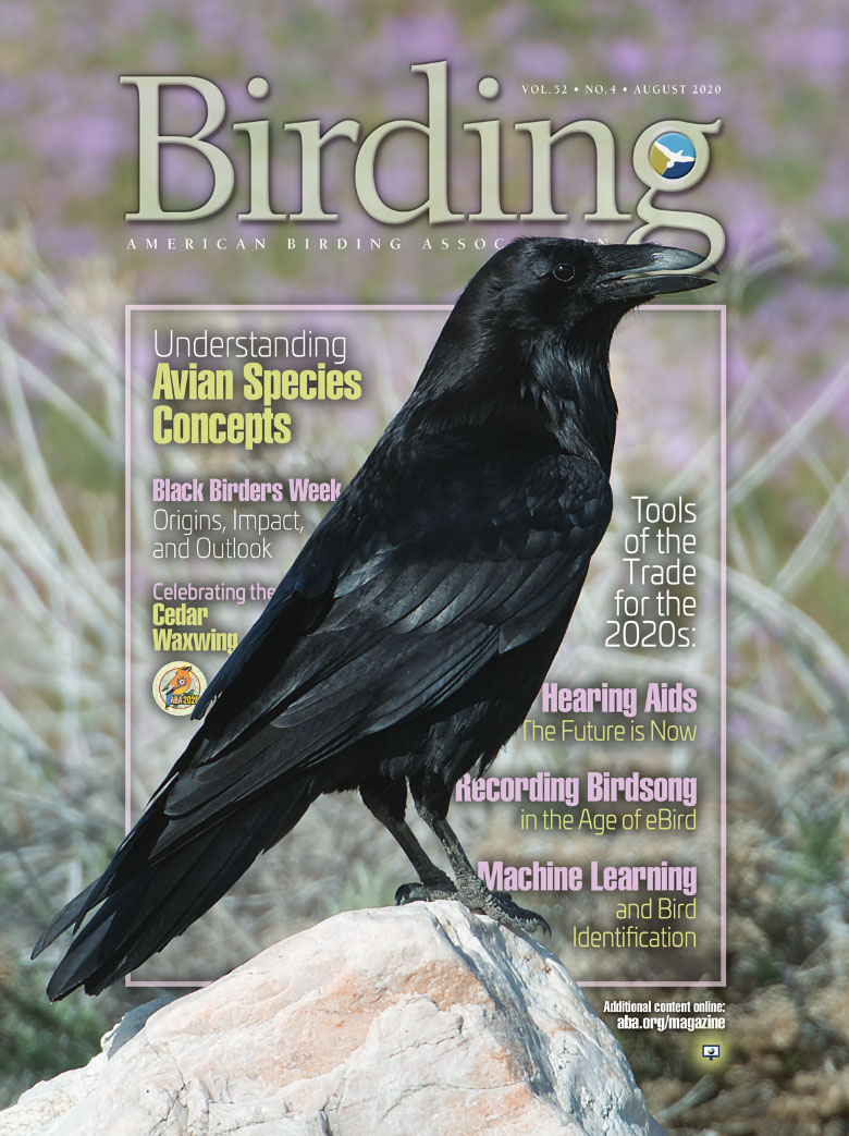 Birding August 2020 Cover Raven