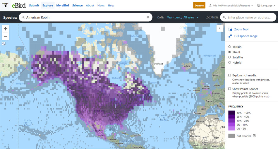 American Robin sightings on eBird