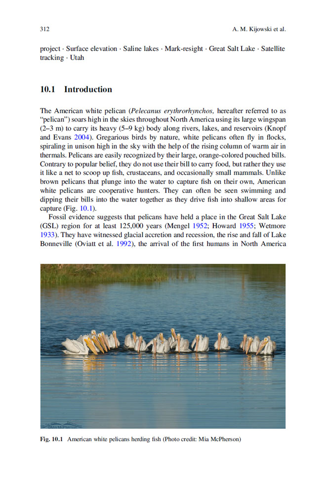 Great Salt Lake Biology, A terminal lake in a time of change - Page 312