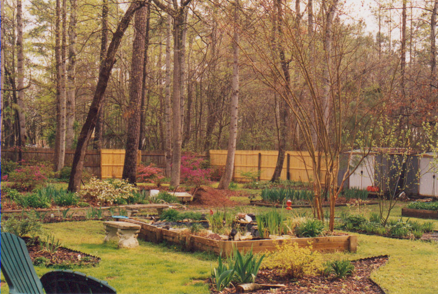 My Virginia backyard in early spring - 1999 