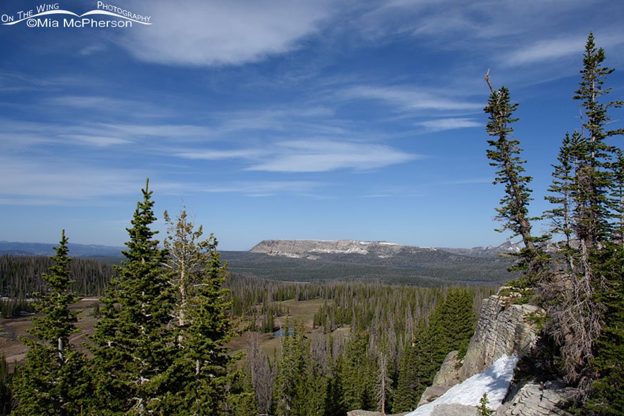 Bald Mountain Pass View - June 7, 2021