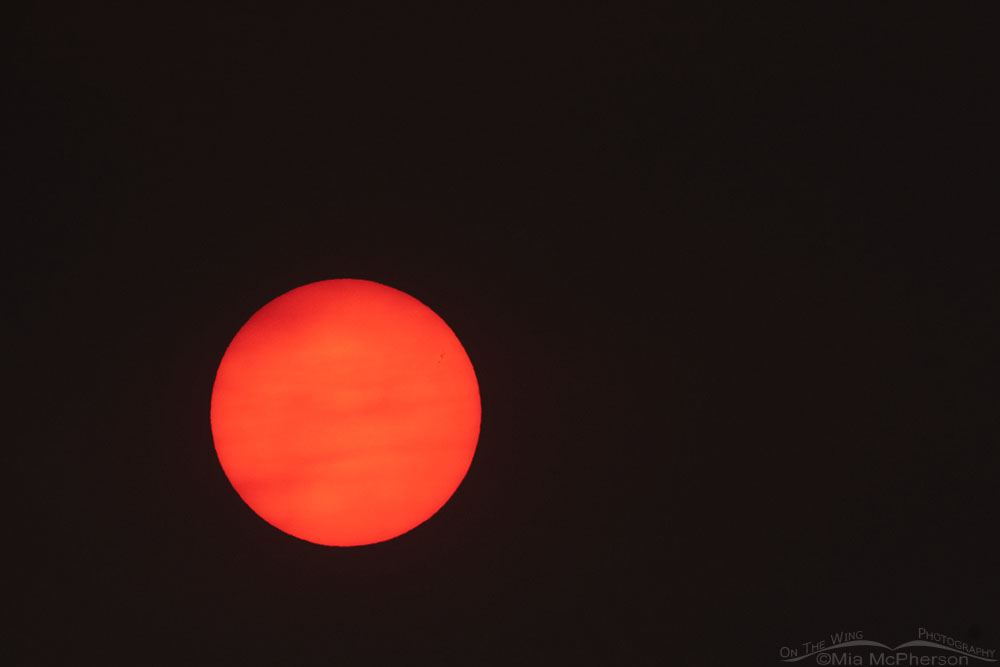 Rising sun through a smoky haze on August 31, 2021, Antelope Island State Park, Davis County, Utah
