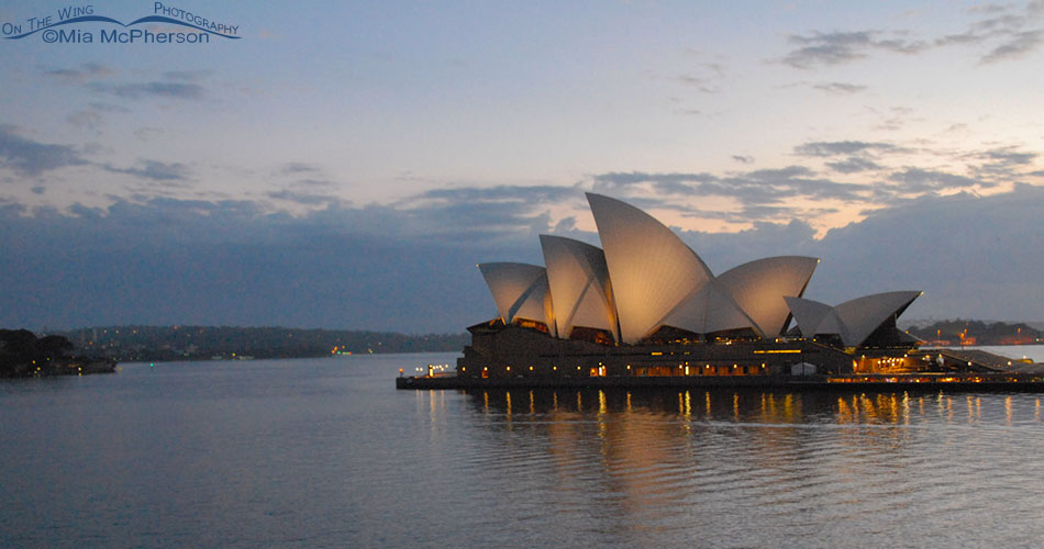 Sydney Opera House before dawn light, Sydney, New South Wales, Australia