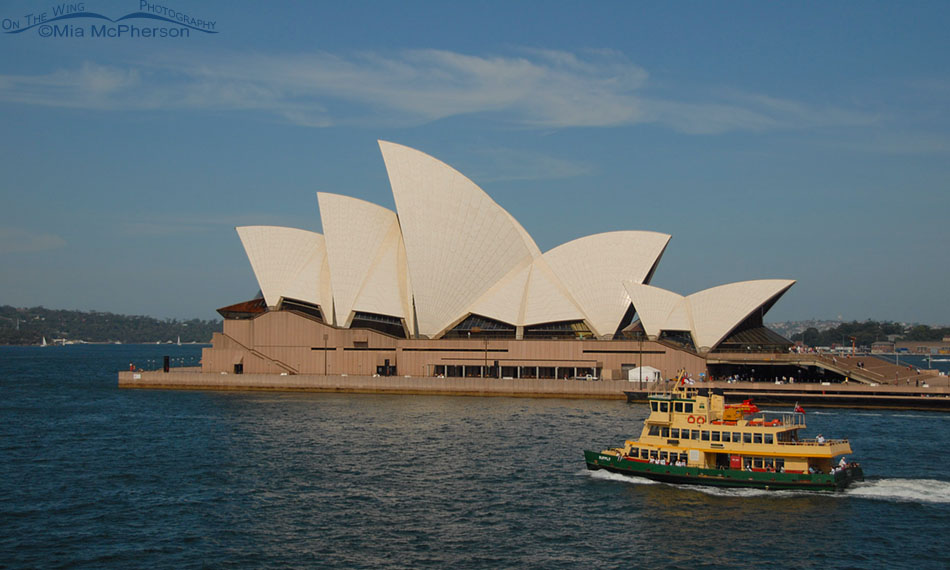 Sydney Opera House during the day with a ferry in front of it, Sydney, New South Wales, Australia