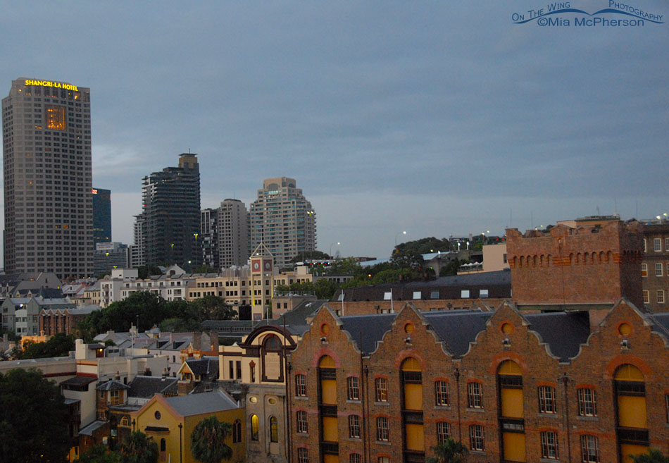 Sydney city view in dawn light, Sydney, New South Wales, Australia
