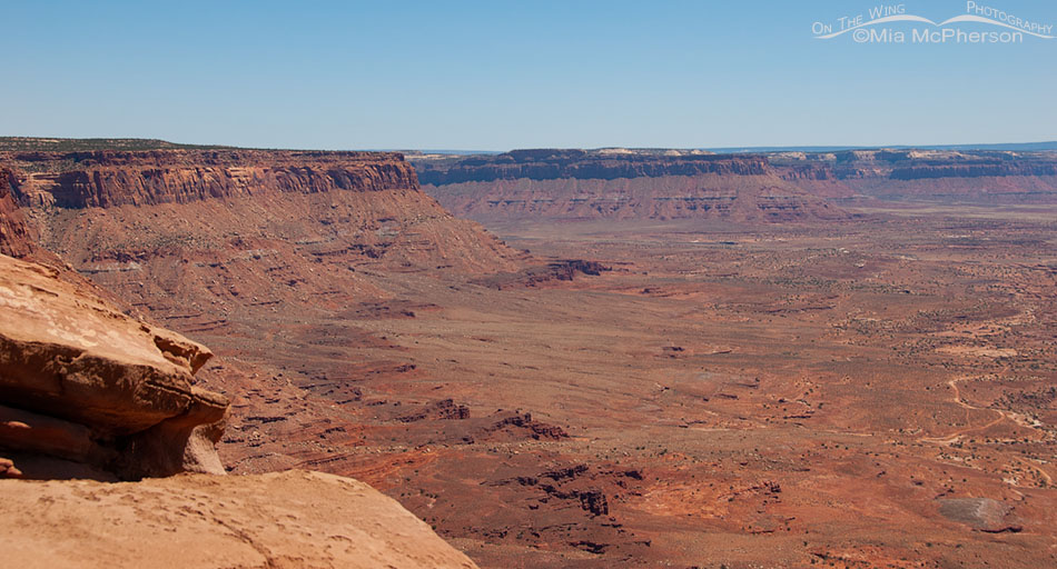 Big view from Dead Horse Point State Park, San Juan County, Utah