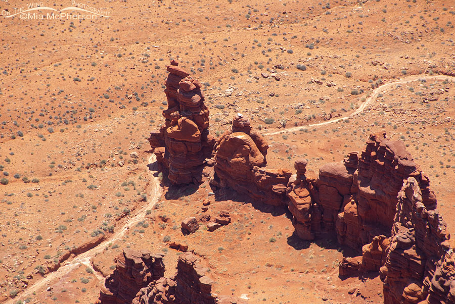 View of hoodoos from a Dead Horse Point State Park overlook, San Juan County, Utah