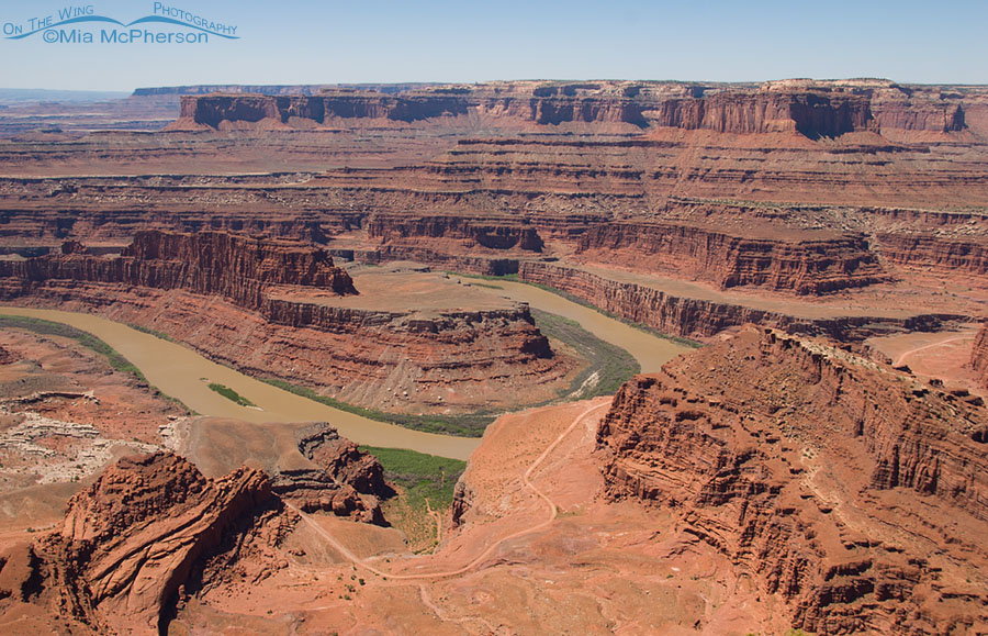 Colorado River from Dead Horse Point State Park viewpoint, San Juan County, Utah