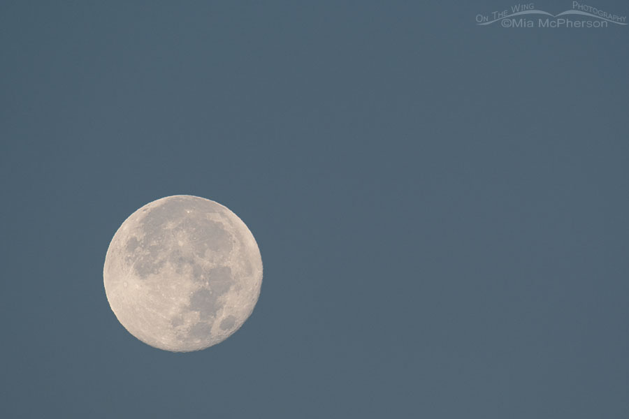 Hunter's Moon over the West Desert, West Desert, Tooele County, Utah