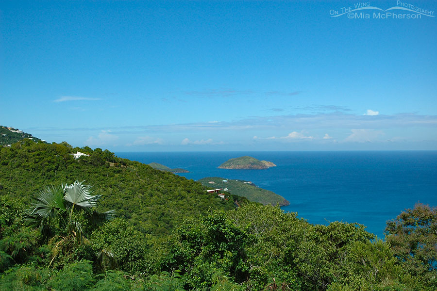 View of the Caribbean from above Magen's Bay, St Thomas, U.S. Virgin Islands