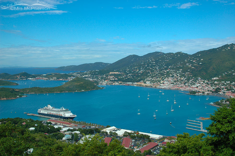View of St Thomas from Paradise Point, Charlotte Amalie, St Thomas, U.S. Virgin Islands