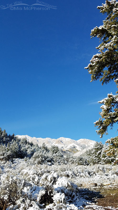 Snowy scene in Utah's West Desert mountains, Tooele County, Utah