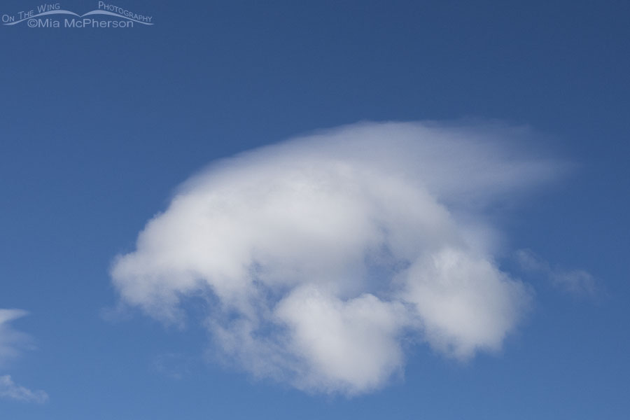 Fruit fly shaped cloud, West Desert, Tooele County, Utah