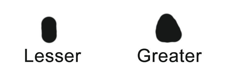 Lesser - Greater Scaup bill nail illustration