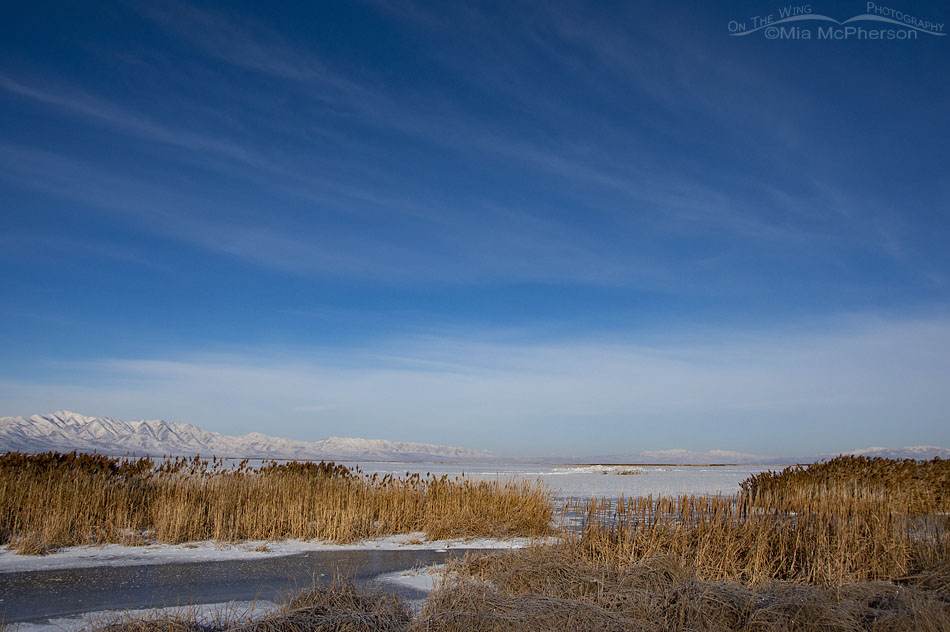 Winter view of Bear River MBR and the snowy Promontory Mountains, Bear River Migratory Bird Refuge, Box Elder County, Utah