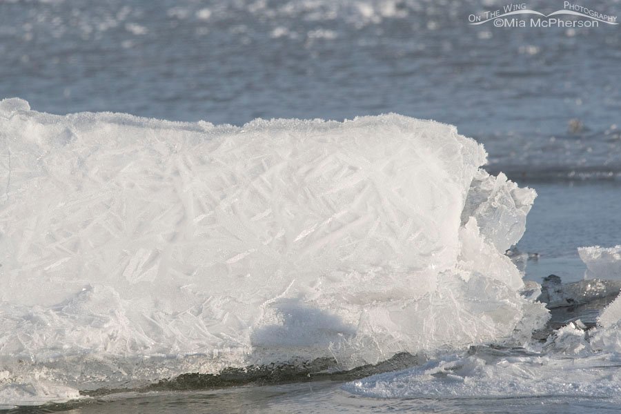 Ice chunk with cross hatch marks on it, Bear River Migratory Bird Refuge, Box Elder County, Utah