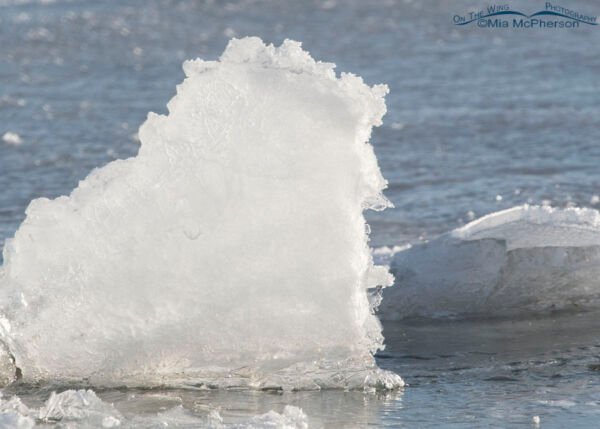 Bumpy Ice Frosty chunk of ice – Mia McPherson's On The Wing Photography