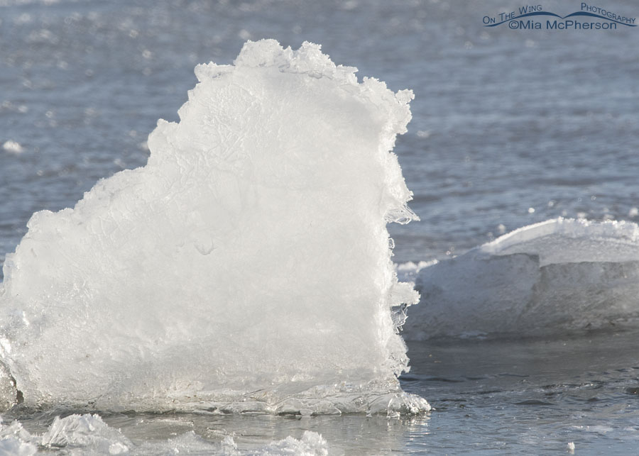 Frosty chunk of ice, Bear River Migratory Bird Refuge, Box Elder County, Utah