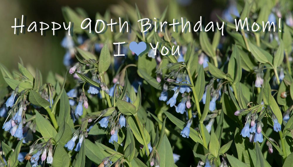 Happy 90th Birthday Mom!