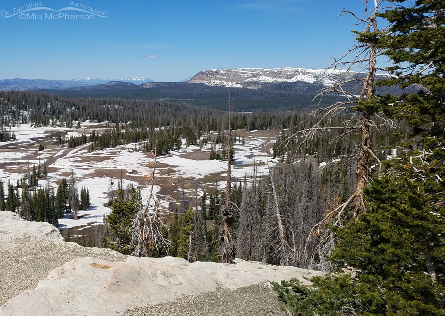 Bald Mountain Pass view - June 7, 2022