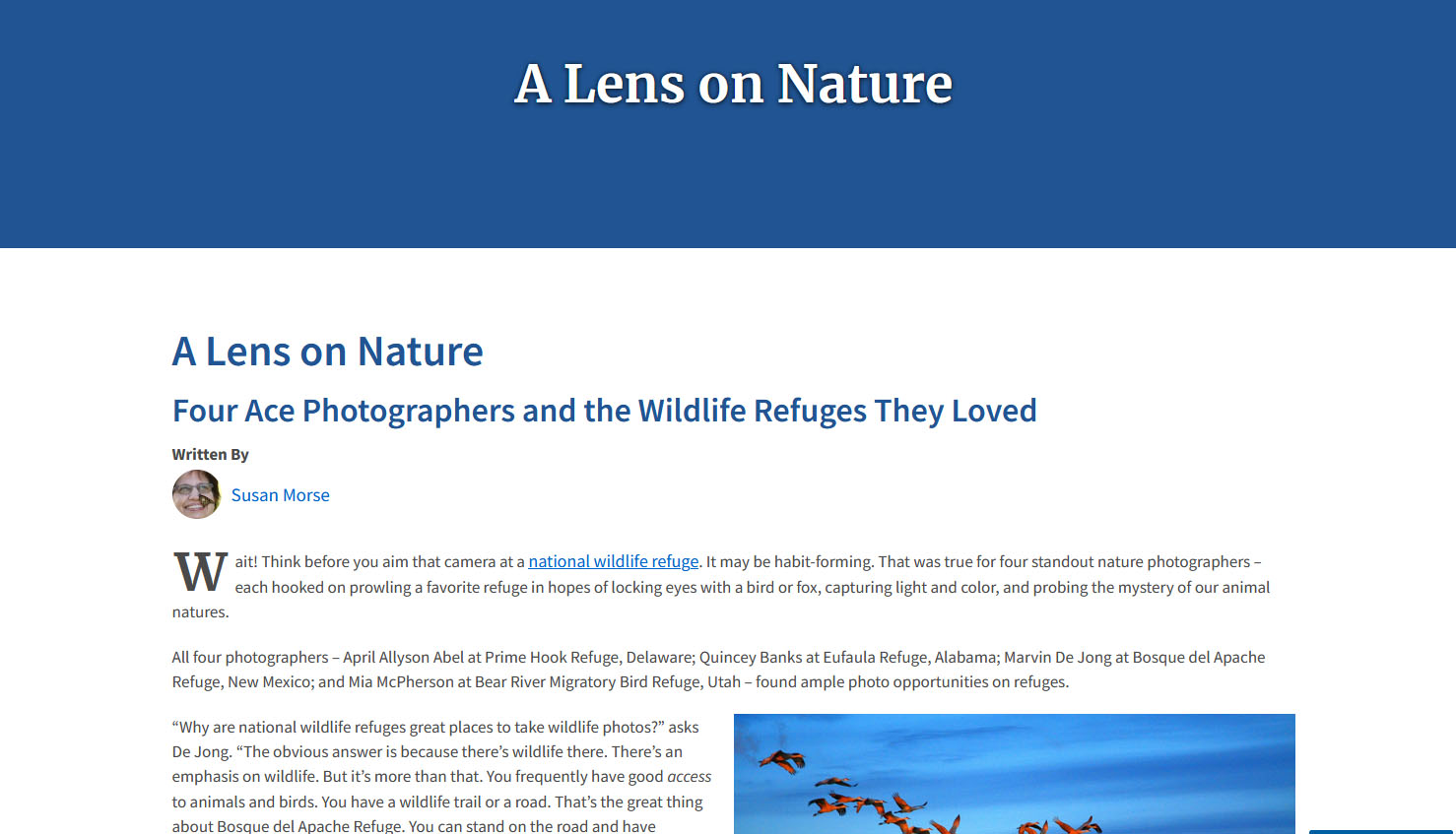 A Lens on Nature - Four Ace Photographers and the Wildlife Refuges They Loved