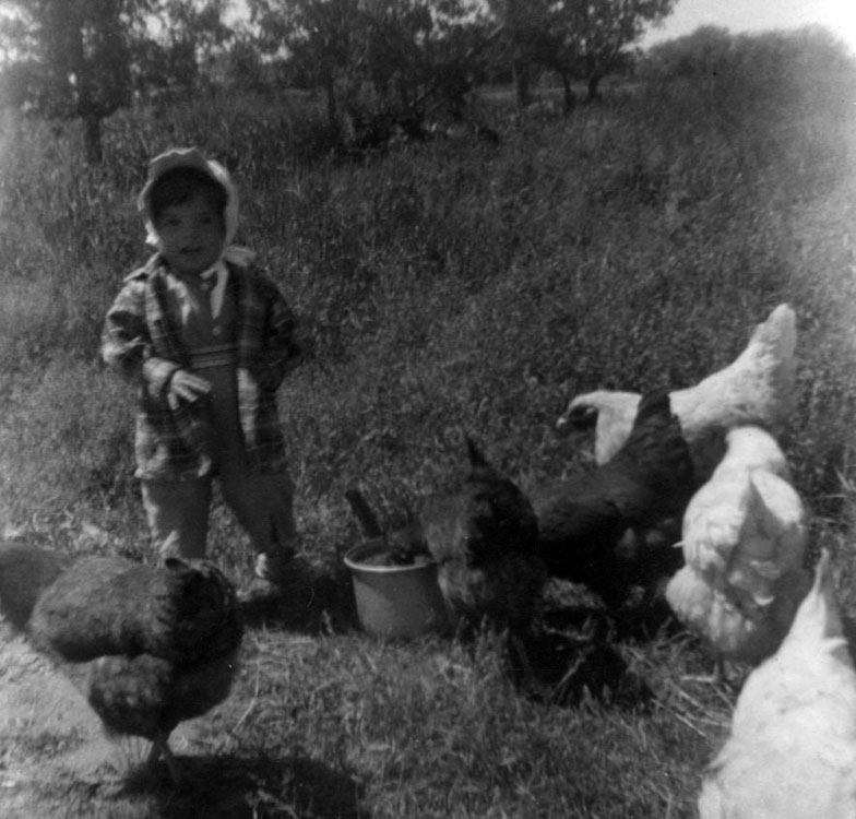 Me feeding chickens at 20 months old on the family farm