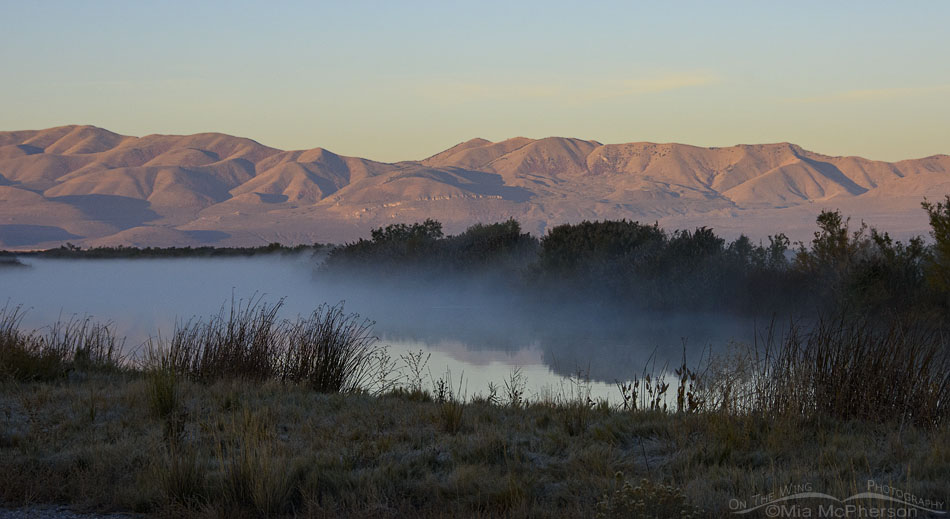 Bear River MBR and fog on the water, Bear River Migratory Bird Refuge, Box Elder County, Utah