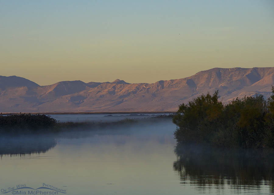 Sunrise and fog at Bear River MBR, Bear River Migratory Bird Refuge, Box Elder County, Utah