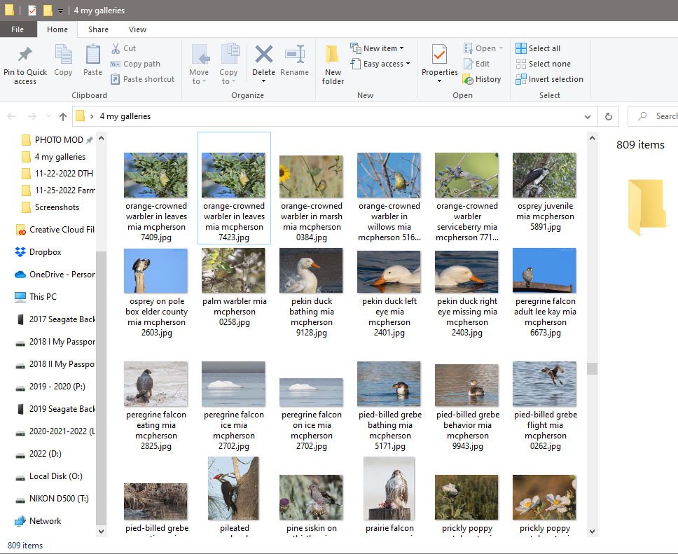 4 my galleries folder screenshot