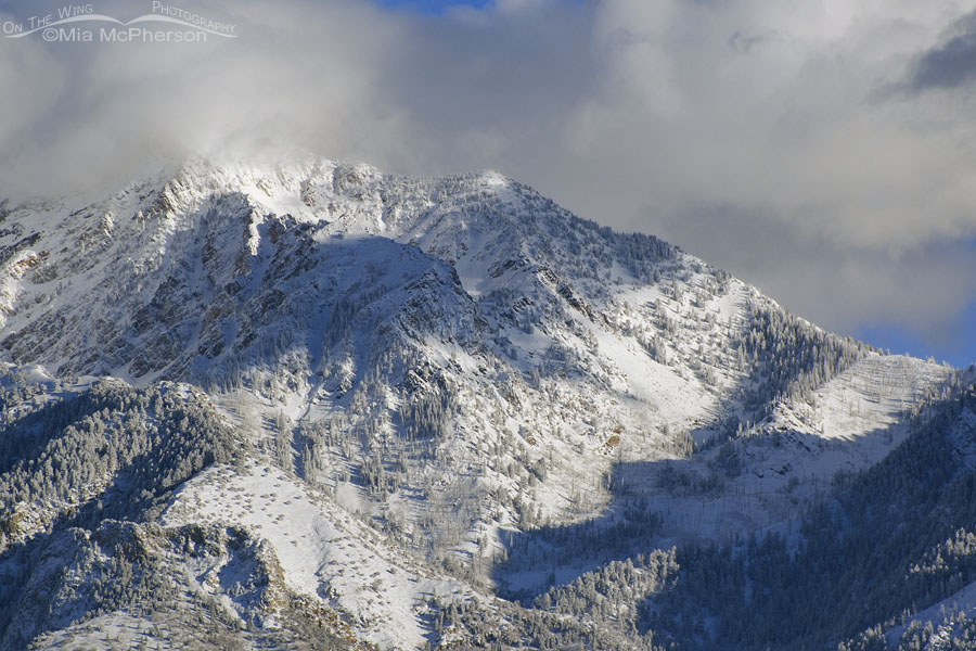 Snowy view of the Wasatch Mountains in November, Salt Lake County, Utah