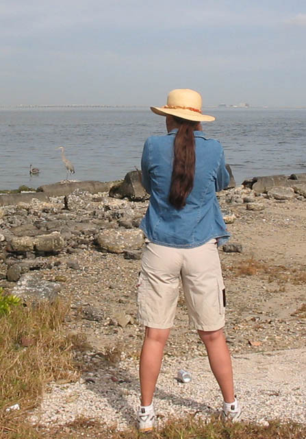 Mia McPherson photographing a Great Blue Heron at Gandy Beach in 2004, Gandy Beach, Pinellas County, Florida