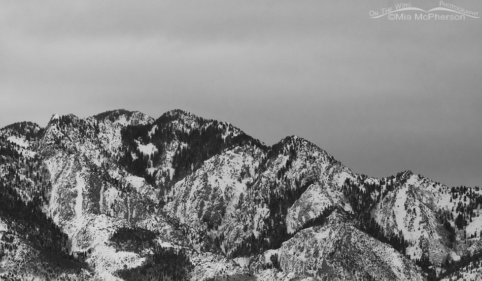 Cloudy and gray Wasatch Mountains in black and white, Salt Lake County, Utah