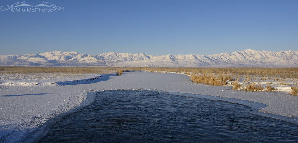 Wild beauty of Bear River MBR, Box Elder County, Utah