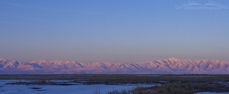 Snow-covered Promontory Mountains alpenglow, Bear River Migratory Bird Refuge, Box Elder County, Utah