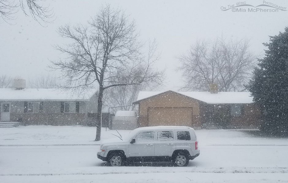 March 26, 2023 snowstorm