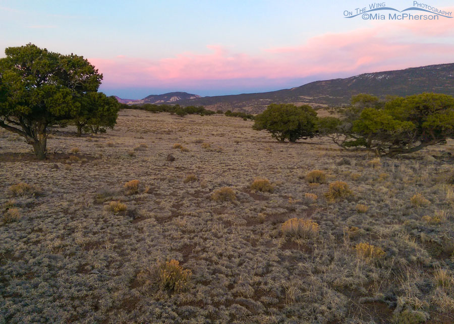 Wayne County, Utah Images